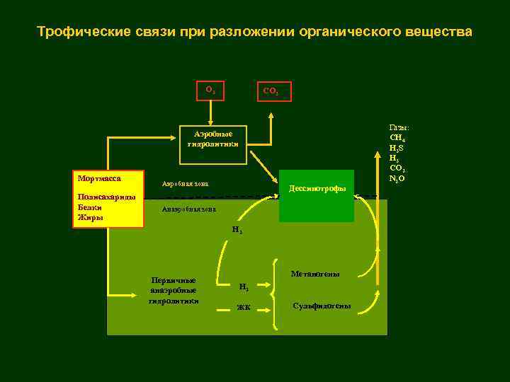 Разложение органических веществ