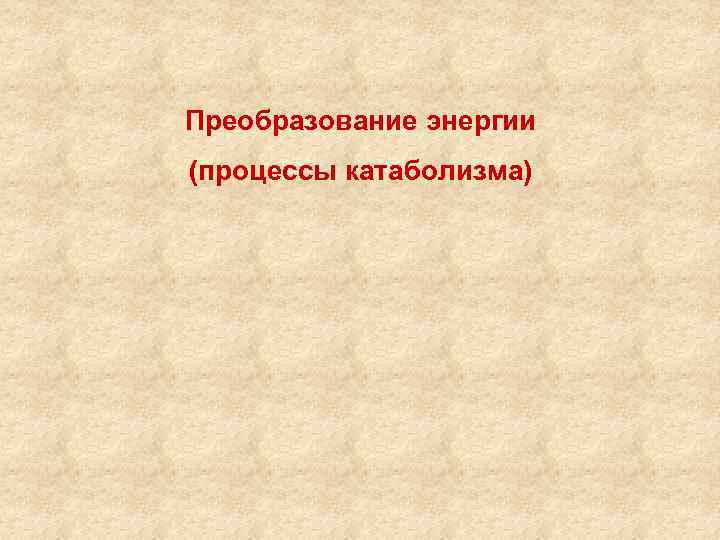 Преобразование энергии (процессы катаболизма) 