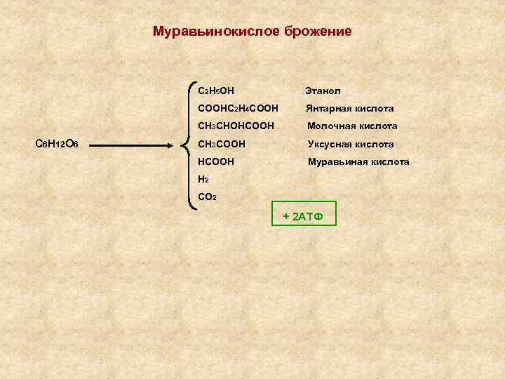 Муравьинокислое брожение С 2 Н 5 ОН СООНС 2 Н 4 СООН Янтарная кислота