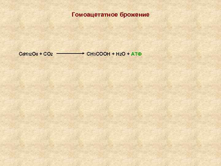 Гомоацетатное брожение С 6 Н 12 О 6 + СО 2 СН 3 СООН