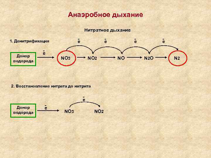 Процесс аэробного дыхания отображает схема