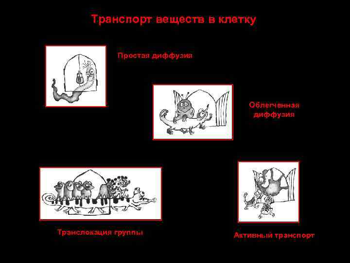 Транспорт веществ в клетку Простая диффузия Облегченная диффузия Транслокация группы Активный транспорт 