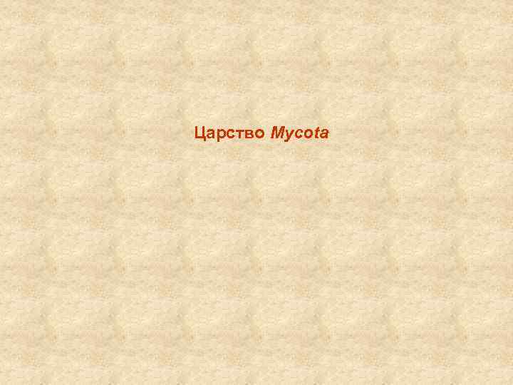 Царство Mycota 