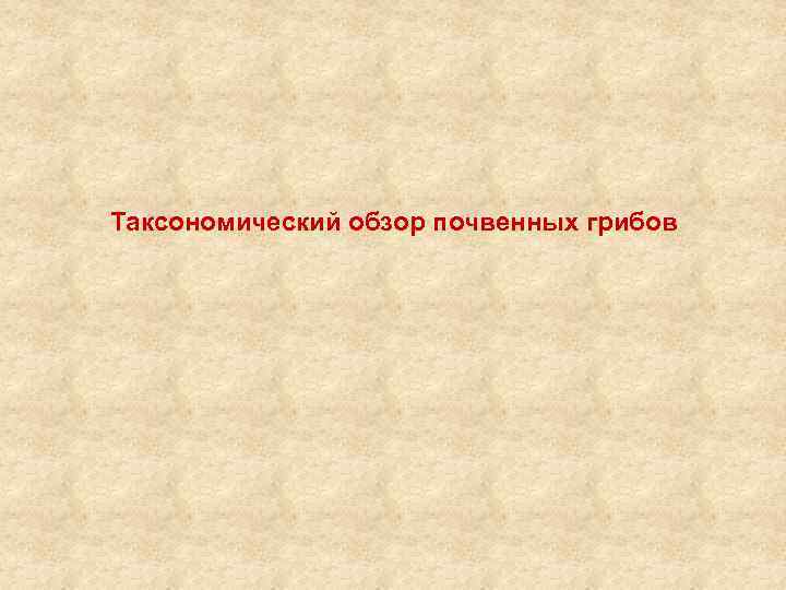 Таксономический обзор почвенных грибов 