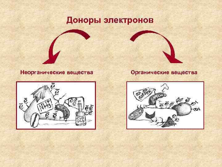 Доноры электронов Неорганические вещества Органические вещества 