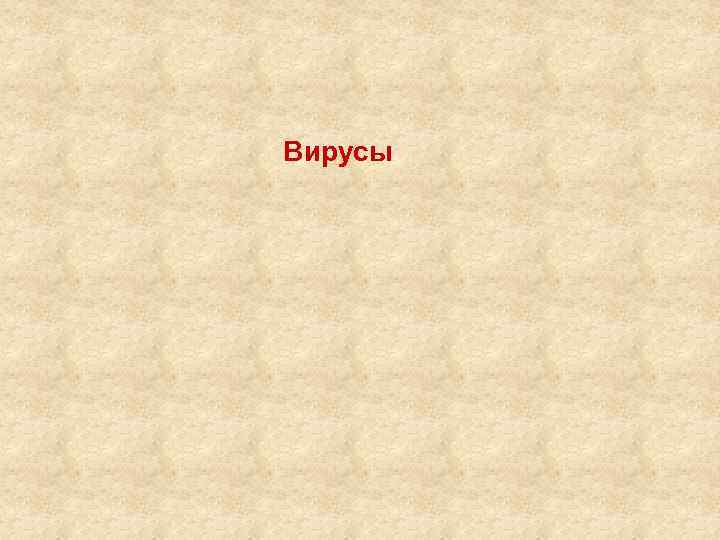 Вирусы 