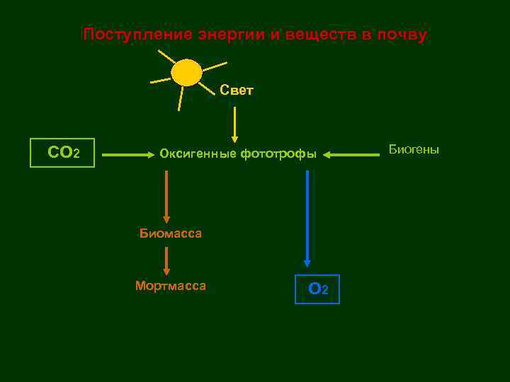 Поступление энергии и веществ в почву Свет СО 2 Оксигенные фототрофы Биомасса Мортмасса О