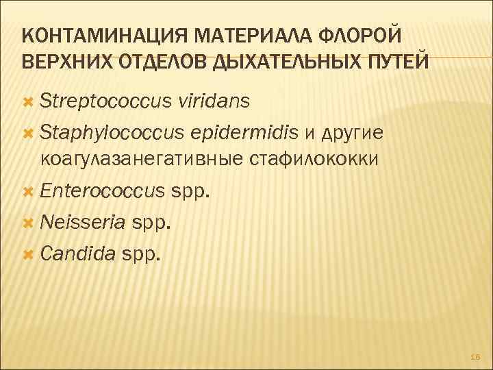 КОНТАМИНАЦИЯ МАТЕРИАЛА ФЛОРОЙ ВЕРХНИХ ОТДЕЛОВ ДЫХАТЕЛЬНЫХ ПУТЕЙ Streptococcus viridans Staphylococcus epidermidis и другие коагулазанегативные