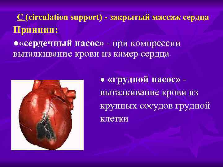 С (circulation support) - закрытый массаж сердца Принцип: ● «сердечный насос» - при компрессии