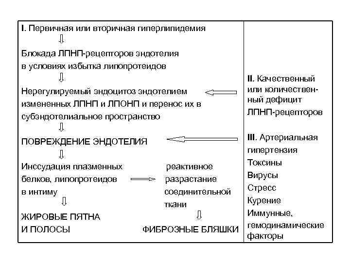 I. Первичная или вторичная гиперлипидемия Блокада ЛПНП-рецепторов эндотелия в условиях избытка липопротеидов Нерегулируемый эндоцитоз