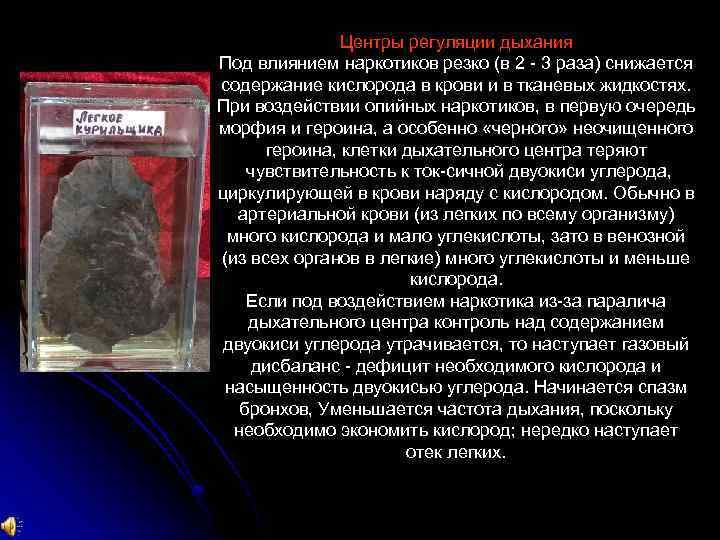 Центры регуляции дыхания Под влиянием наркотиков резко (в 2 3 раза) снижается содержание кислорода