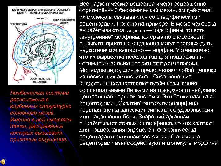 Лимбическая система расположена в глубинных структурах головного мозга. Именно в ней имеются точки, раздражение