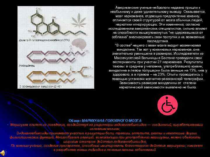 Американские ученые нейрологи недавно пришли к необычному и даже удивительному выводу. Оказывается, мозг наркоманов,