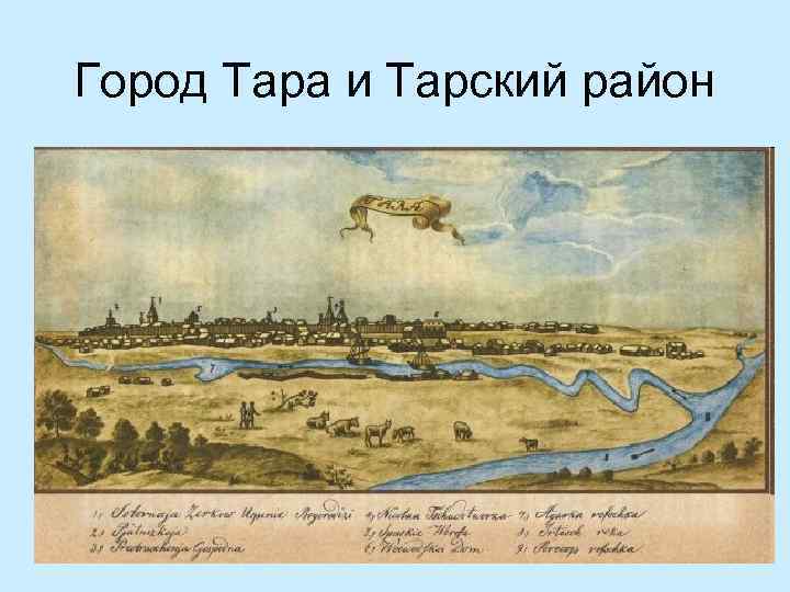 Город Тара и Тарский район 