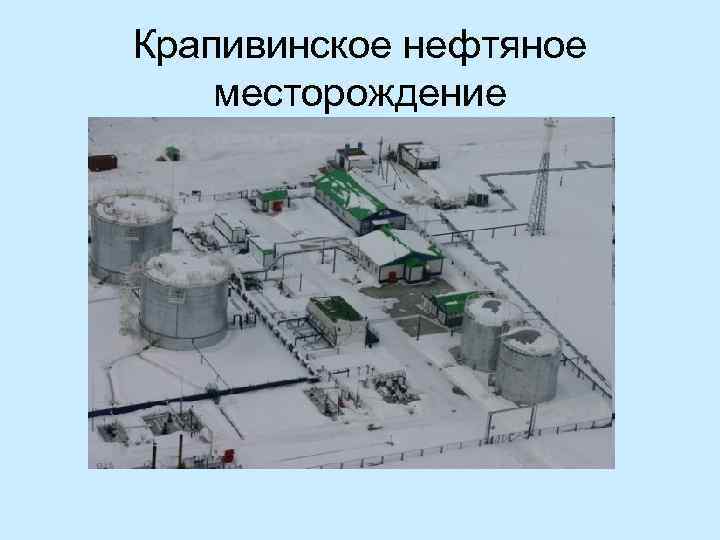 Крапивинское нефтяное месторождение 