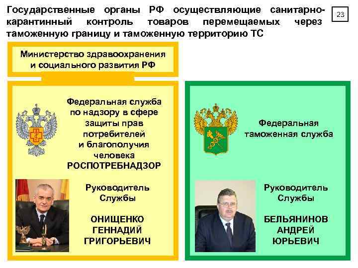 Государственные органы РФ осуществляющие санитарнокарантинный контроль товаров перемещаемых через таможенную границу и таможенную территорию