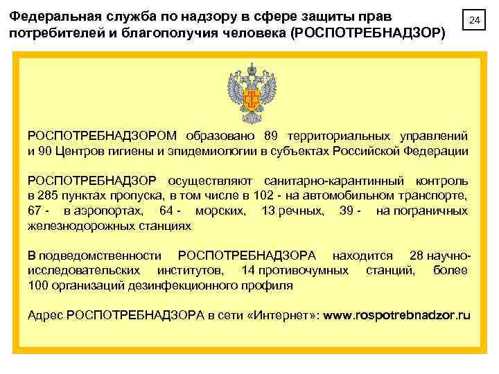 Сфера надзора. Федеральная служба по надзору в сфере защиты прав. Служба защиты прав потребителей. Структура Федеральной службы Роспотребнадзора. Надзору в сфере защиты прав потребителей и благополучия человека.