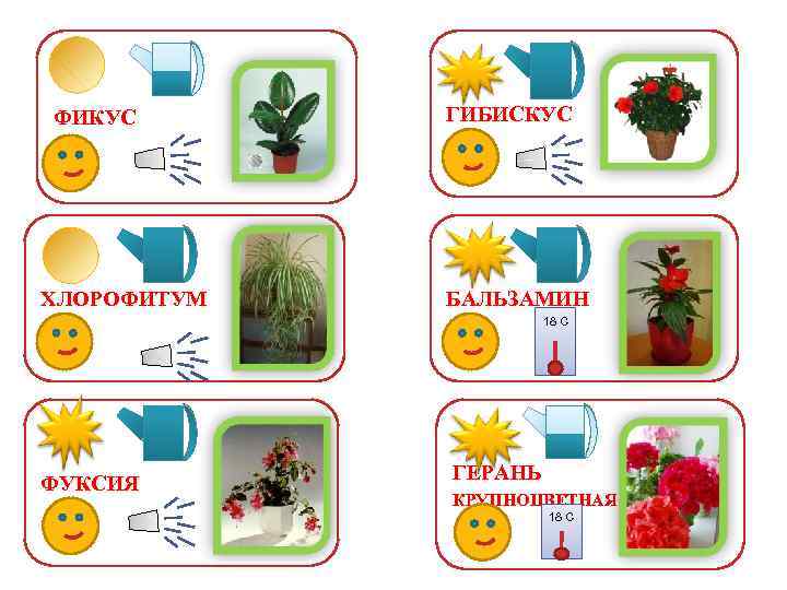 Уход за растениями в старшей группе. Таблички для комнатных растений в детском саду. Названия на цветы в детском саду. Маркировка цветов в детском саду.