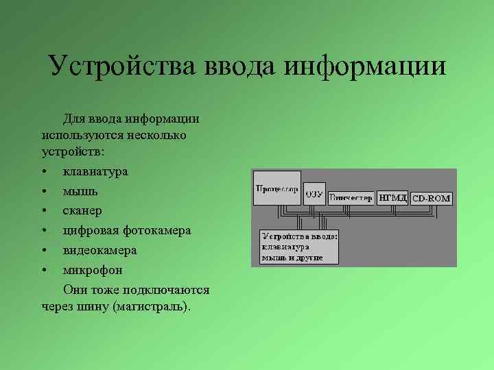 Устройства ввода информации Для ввода информации используются несколько устройств: • клавиатура • мышь •