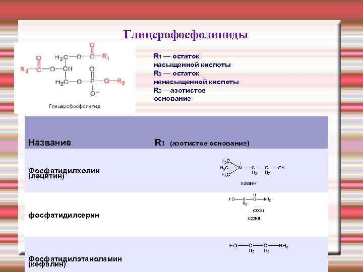  Глицерофосфолипиды R 1 — остаток насыщенной кислоты R 2 — остаток ненасыщенной кислоты