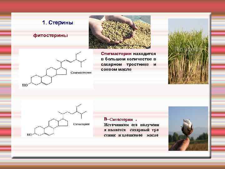  1. Стерины фитостерины Стигмастерин находится в большом количестве в сахарном тростнике и соевом