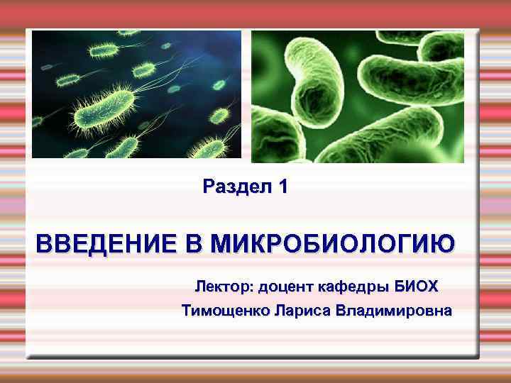 Презентация по микробиологии простейшие