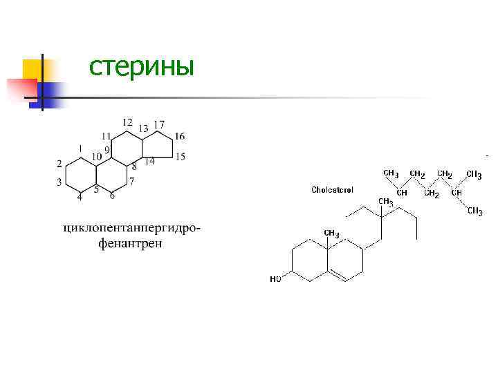 стерины 