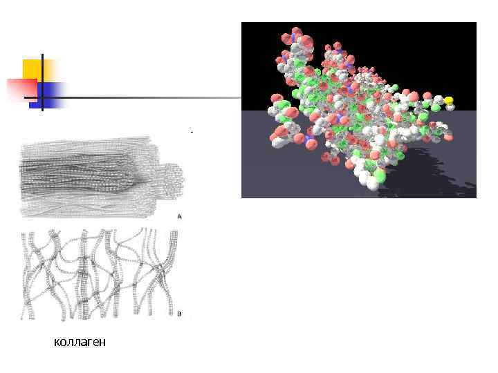 коллаген 