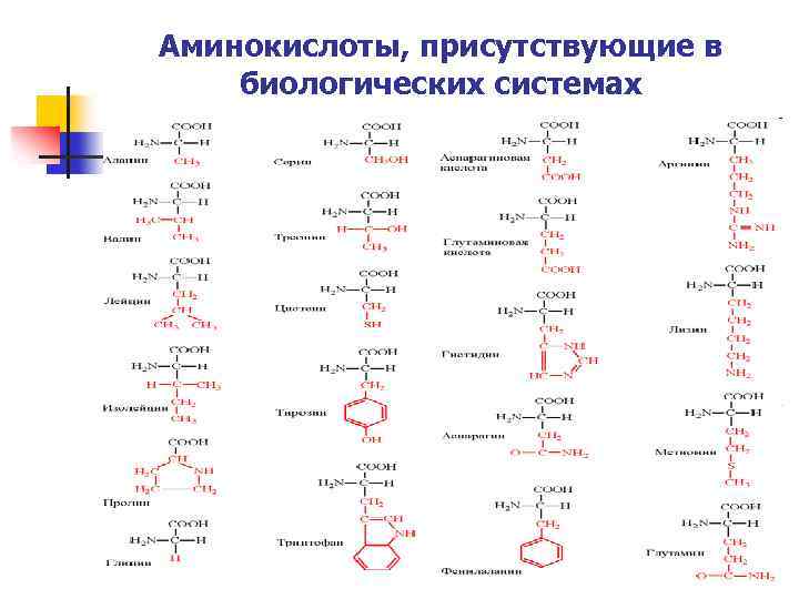 Аминокислоты, присутствующие в биологических системах 