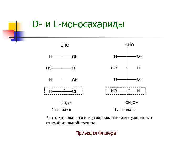 Проекция фишера