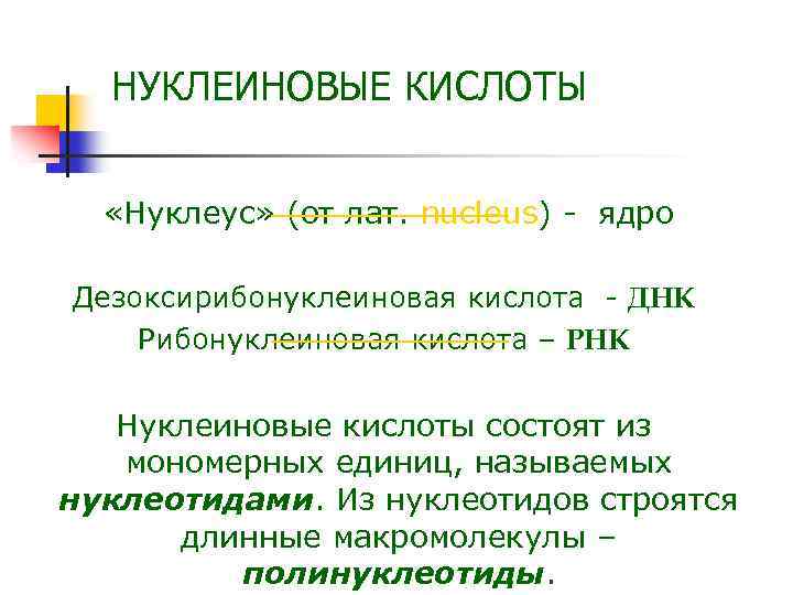 НУКЛЕИНОВЫЕ КИСЛОТЫ «Нуклеус» (от лат. nucleus) - ядро Дезоксирибонуклеиновая кислота - ДНК Рибонуклеиновая кислота