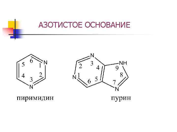 АЗОТИСТОЕ ОСНОВАНИЕ 