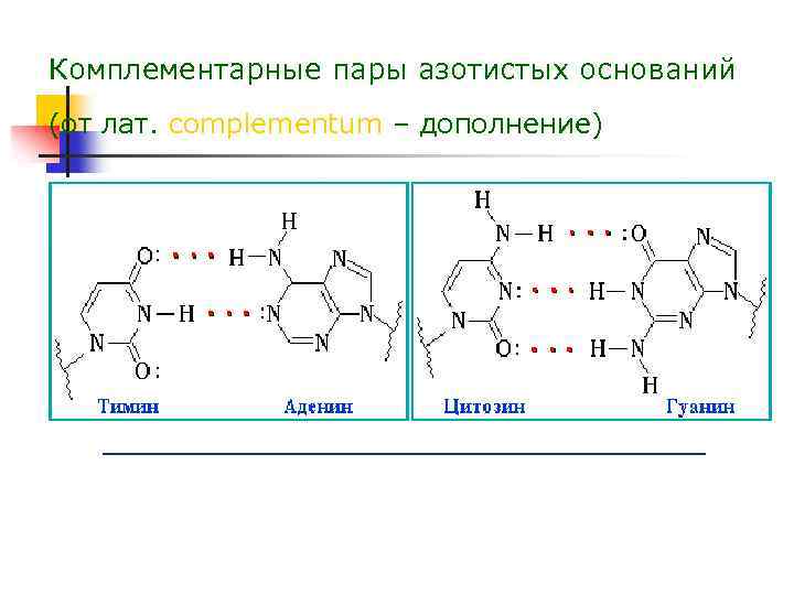 Водородные между азотистыми основаниями. Комплементарные пары азотистых оснований. Комплементарные пары азотистых оснований в нуклеиновых кислотах. Комплементарные азотистые основания схема. Комплиментарные азотные основания.