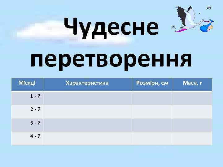 Чудесне перетворення Місяці 1 -й 2 -й 3 -й 4 -й Характеристика Розміри, см