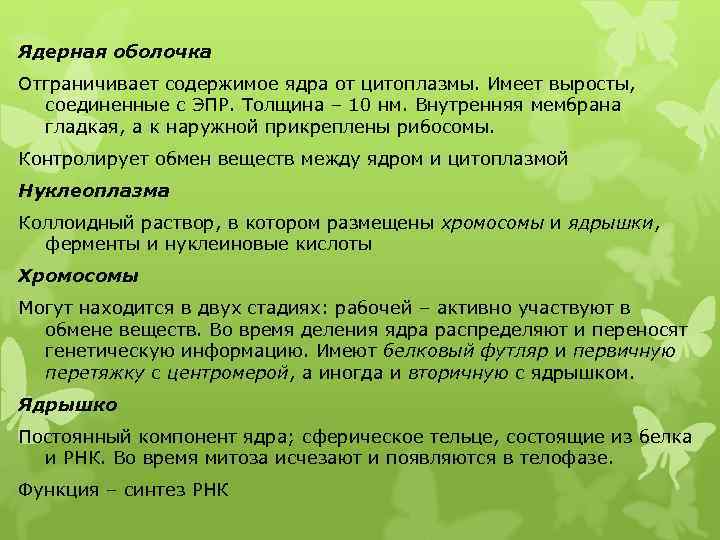 Ядерная оболочка Отграничивает содержимое ядра от цитоплазмы. Имеет выросты, соединенные с ЭПР. Толщина –