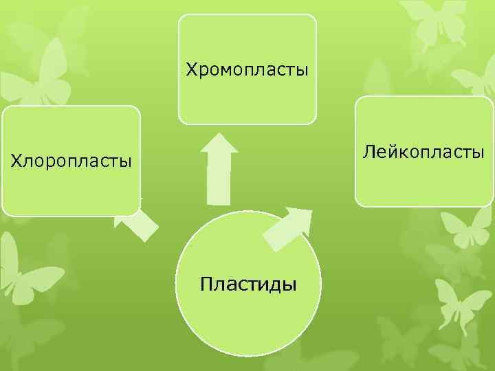 Хромопласты Лейкопласты Хлоропласты Пластиды 