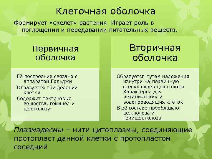 Клеточная оболочка Формирует «скелет» растения. Играет роль в поглощении и передавании питательных веществ. Первичная