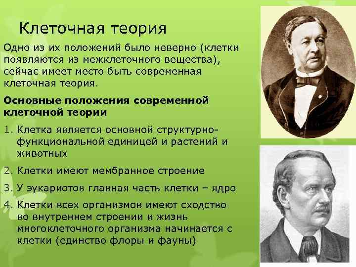 Клеточная теория Одно из их положений было неверно (клетки появляются из межклеточного вещества), сейчас