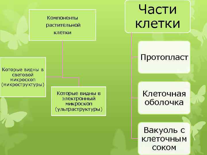 Компоненты растительной клетки Части клетки Протопласт Которые видны в световой микроскоп (микроструктуры) Которые видны