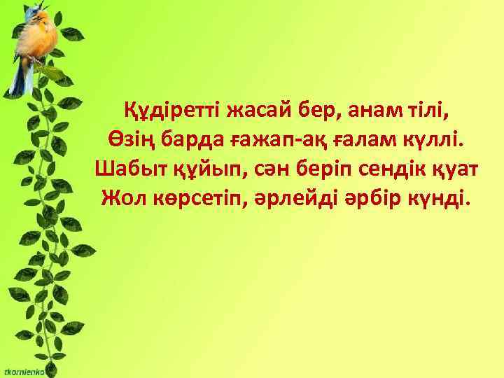 Бірліктері: - Сұрақты мәселені талқылауға Құдіретті жасай бер, анам тілі, қатысу және өзінің ойын
