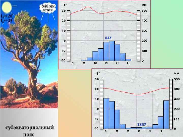 Большая часть южной Африки находится севернее 30 ю. ш. На востоке Мозамбикский пролив отделяет