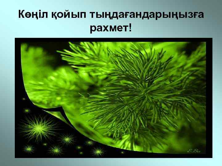 Көңіл қойып тыңдағандарыңызға рахмет! 