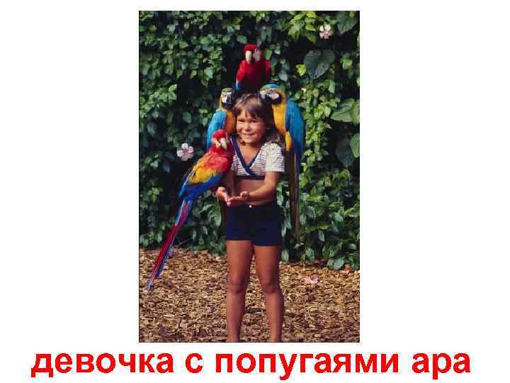 девочка с попугаями ара 
