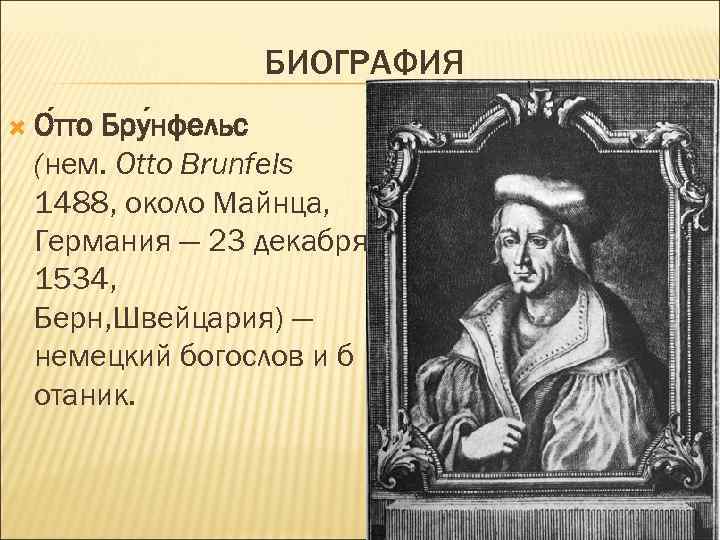 БИОГРАФИЯ О тто Бру нфельс (нем. Otto Brunfels 1488, около Майнца, Германия — 23