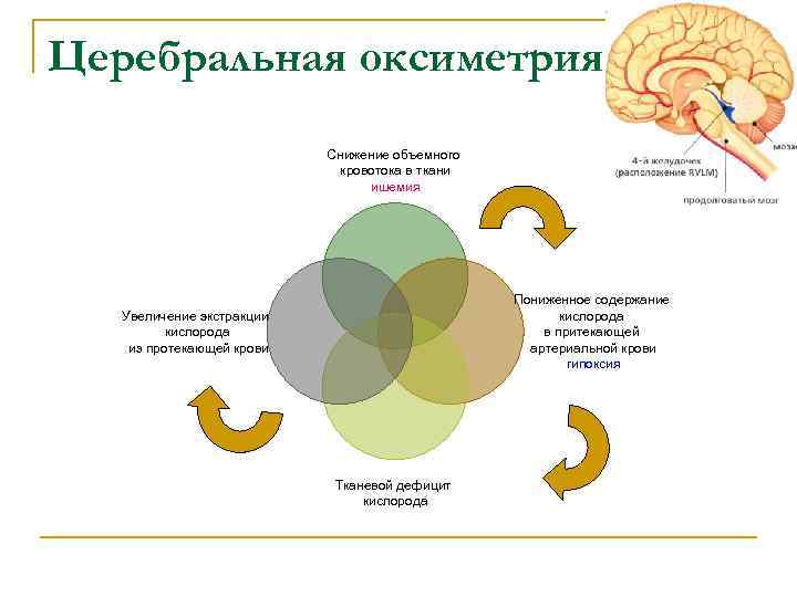 Церебральная оксиметрия Снижение объемного кровотока в ткани ишемия Пониженное содержание кислорода в притекающей артериальной