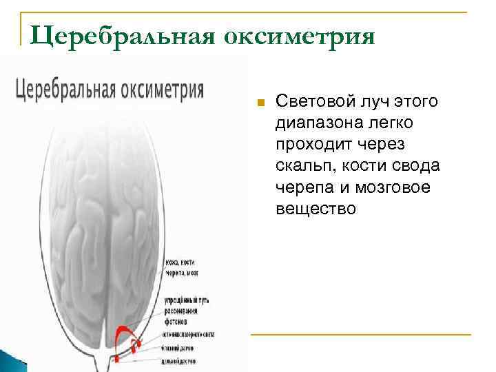 Церебральная оксиметрия n Световой луч этого диапазона легко проходит через скальп, кости свода черепа