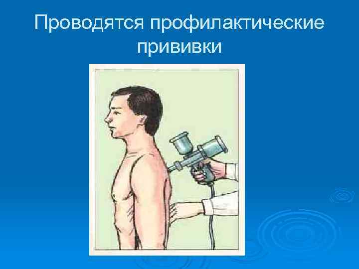 Проводятся профилактические прививки 