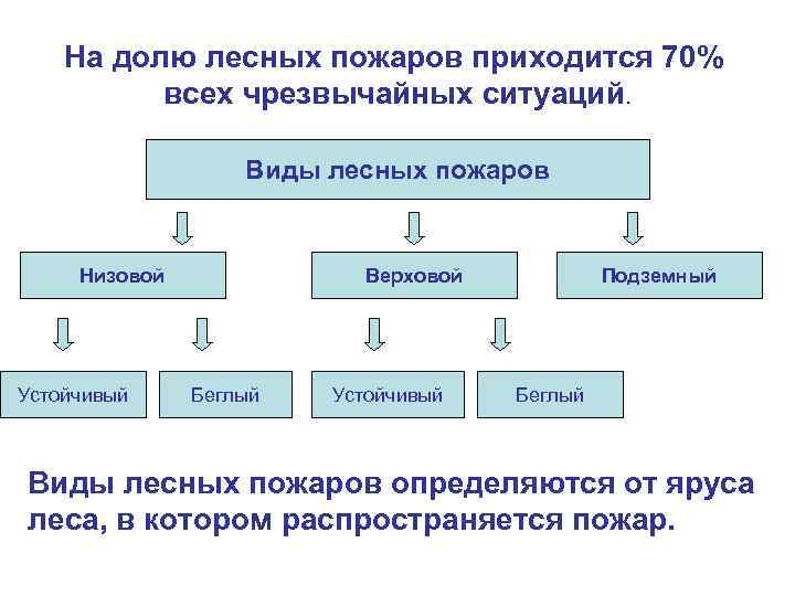 На долю лесных пожаров приходится 70% всех чрезвычайных ситуаций. Виды лесных пожаров Низовой Устойчивый