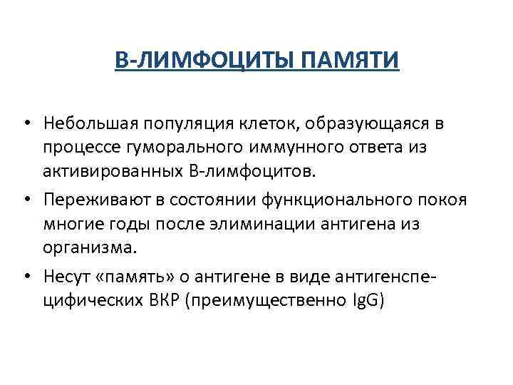  В-ЛИМФОЦИТЫ ПАМЯТИ • Небольшая популяция клеток, образующаяся в процессе гуморального иммунного ответа из