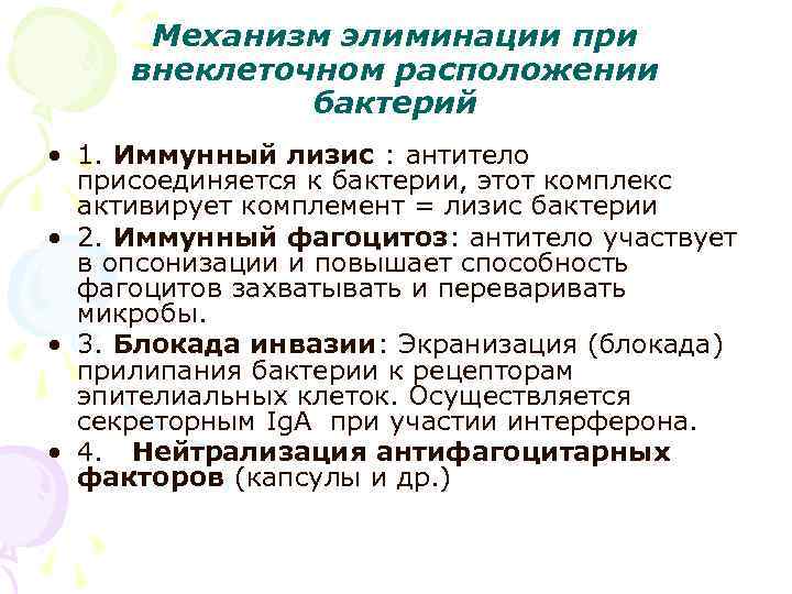 Механизм элиминации при внеклеточном расположении бактерий • 1. Иммунный лизис : антитело присоединяется к